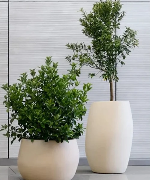 Planter